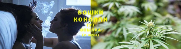 трава Магас