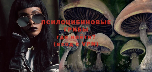 бошки Алексин
